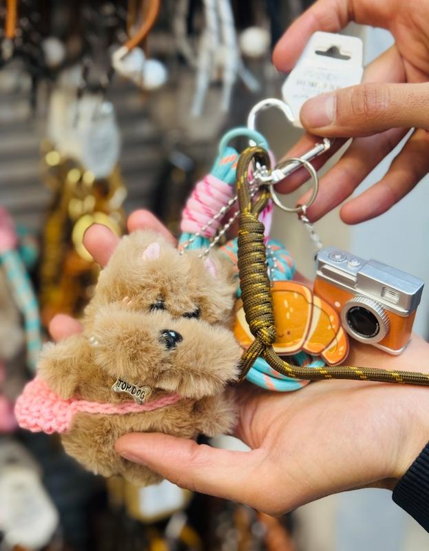 چارم تدي دختر و دوربين