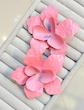 گوشواره فلاور زارا