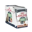 پوچ گربه رویال کنین دایجستیو 85 گرمی