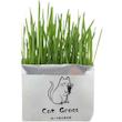  علف گربه مدل Cat Grass وزن ۱۰۰ گرم