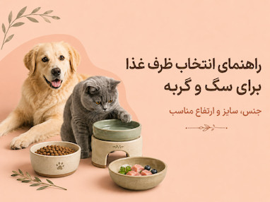 راهنمای انتخاب ظرف غذا برای سگ و گربه؛ جنس، سایز و ارتفاع مناسب