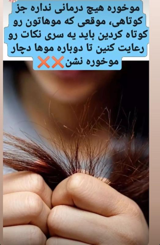 روغن آرگان از برند رِیپ