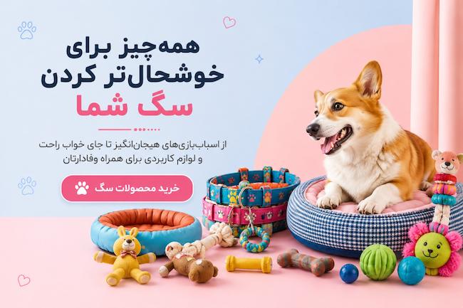 اسباب بازی و سرگرمی سگ