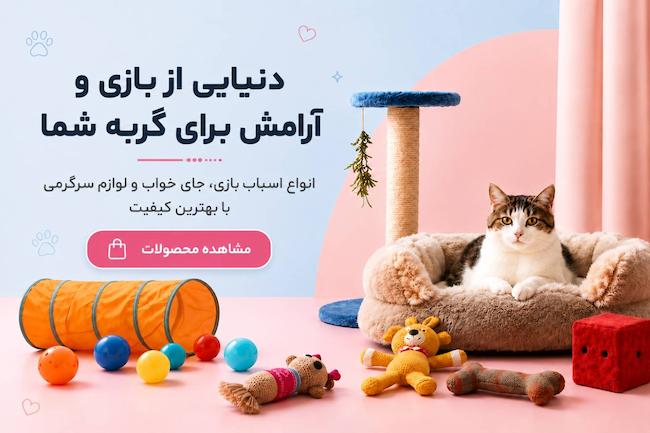 اسباب بازی و سرگرمی گربه