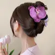 کلیپس ارکیده