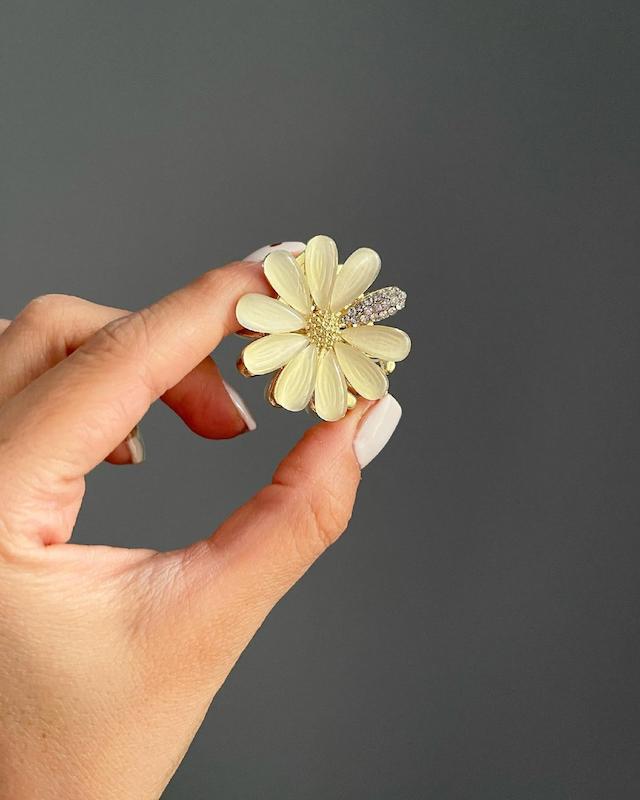  کلیپس مجلسی بابونه