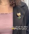 سنجاق سینه ۶