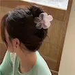 کلیپس روزانه گل بابونه وارداتی