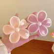 کلیپس روزانه گل بابونه وارداتی