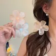 کلیپس روزانه گل بابونه وارداتی