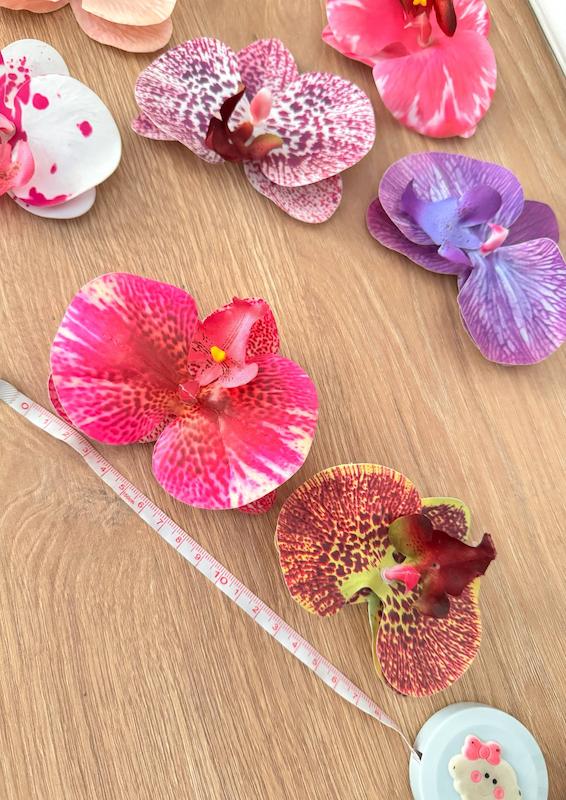 گیره انبری ارکیده