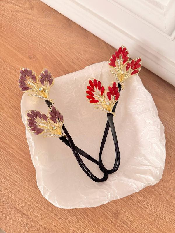 باندفر مجلسی