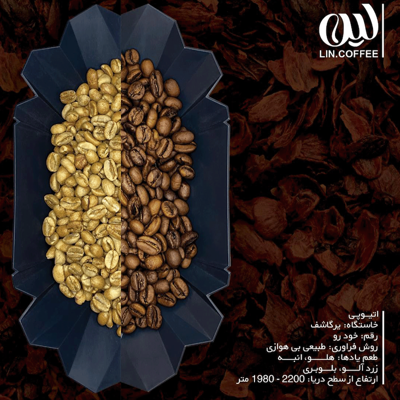 اتیوپی یرگاشف - فراوری طبیعی بی هوازی