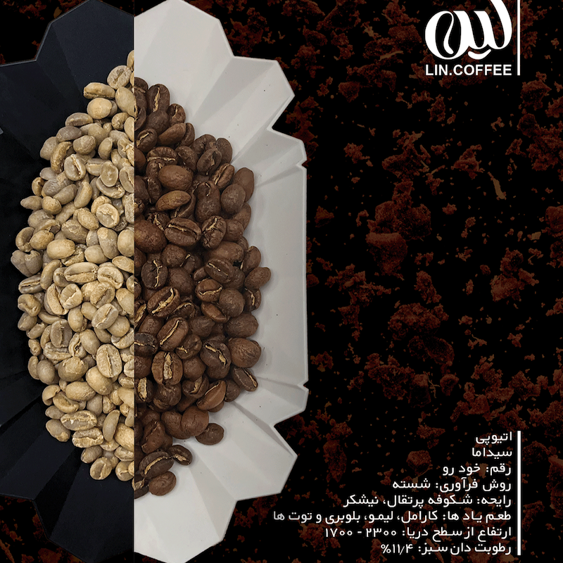 اتیوپی سیداما - فراوری شسته شده