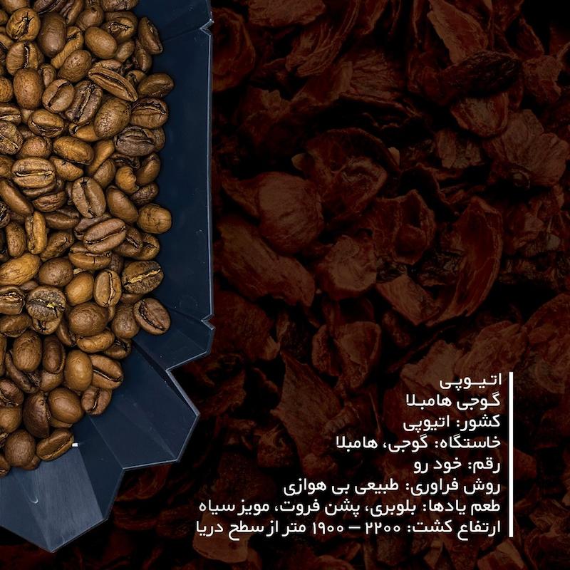 اتیوپی گوجی هامبلا - فراوری طبیعی بی هوازی