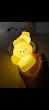 چراغ خواب خرگوش و لاله