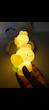 چراغ خواب خرگوش و لاله