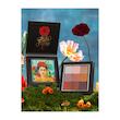 کالکشن فریدا کالو شیگلم Sheglam Frida Kahlo Full Collection