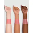 رژگونه گل رز جاودان شیگلم Sheglam Pink Ribbon Rose Blush