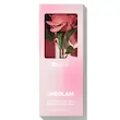 رژگونه گل رز جاودان شیگلم Sheglam Pink Ribbon Rose Blush