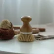 فرچه مشتی