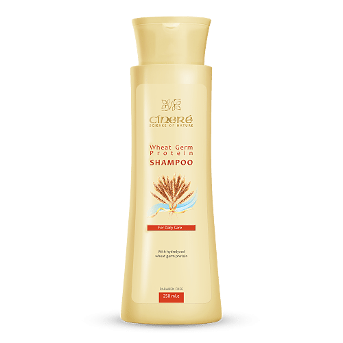 شامپو پروتئینه جوانه گندم 250 میلی لیتری Wheat Germ Shampoo 250 ml Cinere