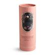 خوشبو کننده هوا ویت یو مدل Orchid Oasis حجم 100 میلی لیتر With You Orchid Oasis Home Fragrance 100 mL