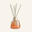 خوشبو کننده هوا ویت یو مدل Warm Night حجم 100 میلی لیتر With You Warm Night Home Fragrance 100 ml