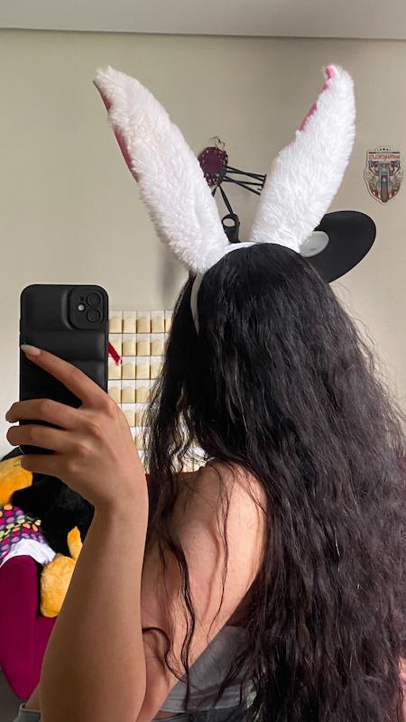 تل خرگوشی ( باگز بانی )🐇
