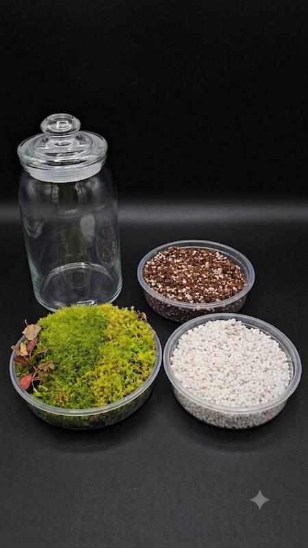 پک مخصوص ساخت تراریوم گوشتخوار(همراه با ویدئو آموزشی ساخت)
