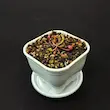 گیاه طبیعی حشره خوار ساراسنیا نژاد سیتاسینا( سایز1)