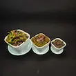 گیاه طبیعی ونوس حشره خوار نژاد رد شارک(سایز2)