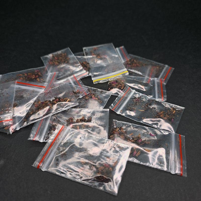 بذر گیاه حشره خوار دروزرا نژاد گرین کپنسیس