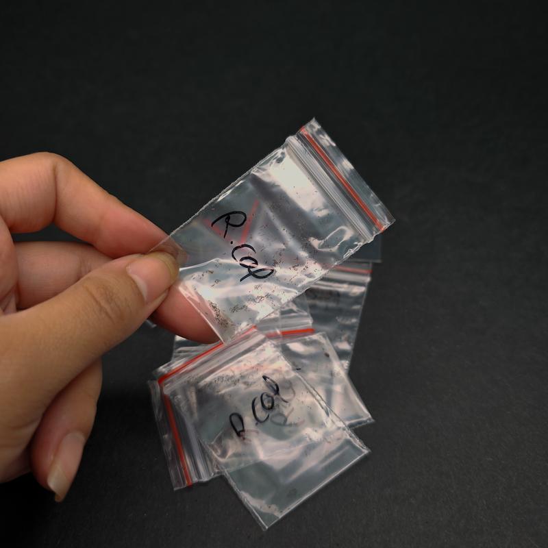 بذر گیاه حشره خوار دروزرا نژاد رد کپنسیس