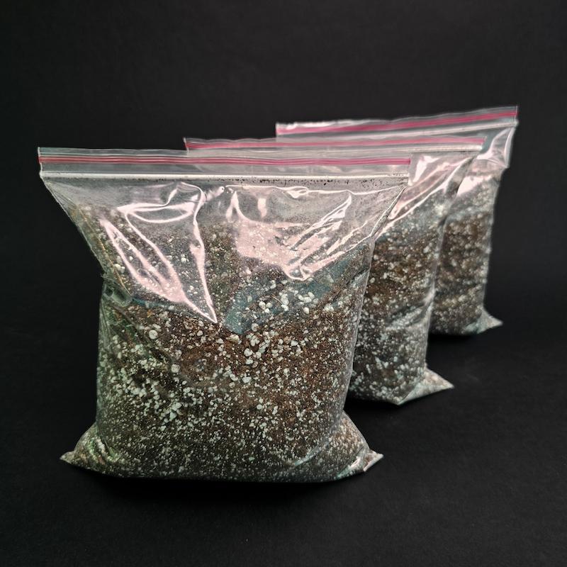 خاک مخصوص گیاهان حشره خوار