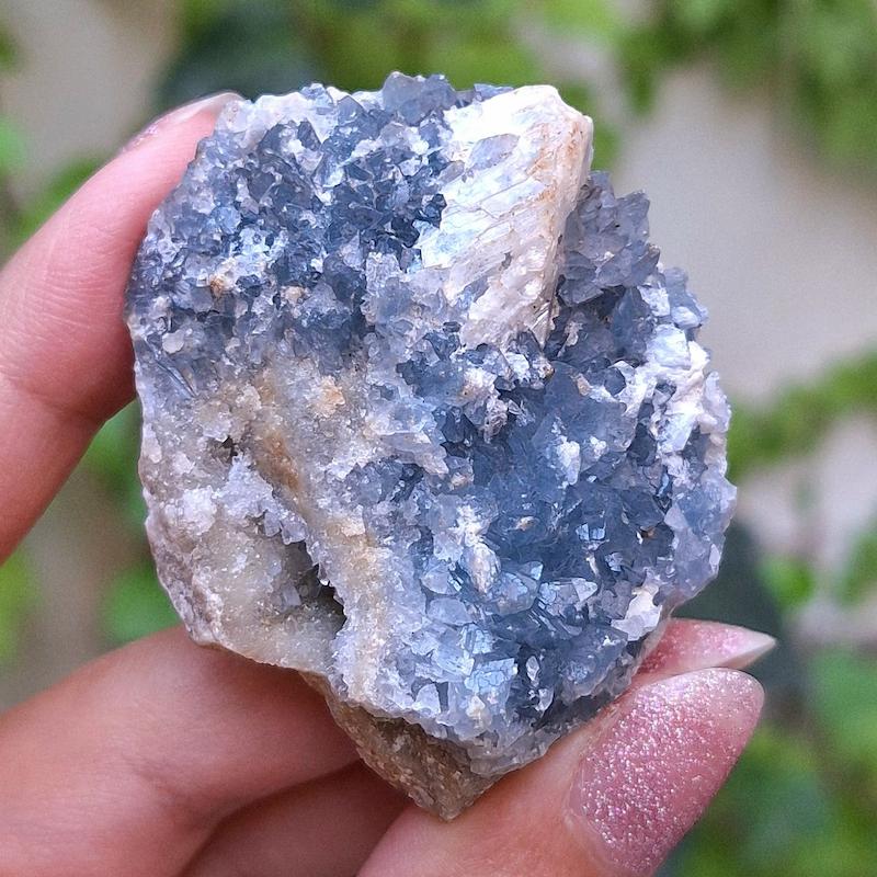 کلاستر سلستین با همرشدی ژیپس
