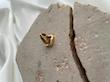 گوشواره حلقه‌ای طرح مربع تراش