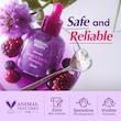  سرم باکوچیول پلامپینگ اکوال بری EQQUALBERRY Bakuchiol Plumping Serum