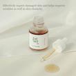سرم حلزون و جنسینگ بیوتی اف جوسان BEAUTY OF JOSEON Revive Serum: Ginseng + Snail