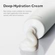  کرم مرطوب کننده و ضد چروک بیوتی آف جوسان Beauty of Joseon Dynasty Cream