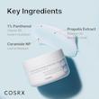  کرم آبرسان قوی و تسکین دهنده کوزارکس COSRX Cosrx Hydrium Moisture Power Enriched Cream 