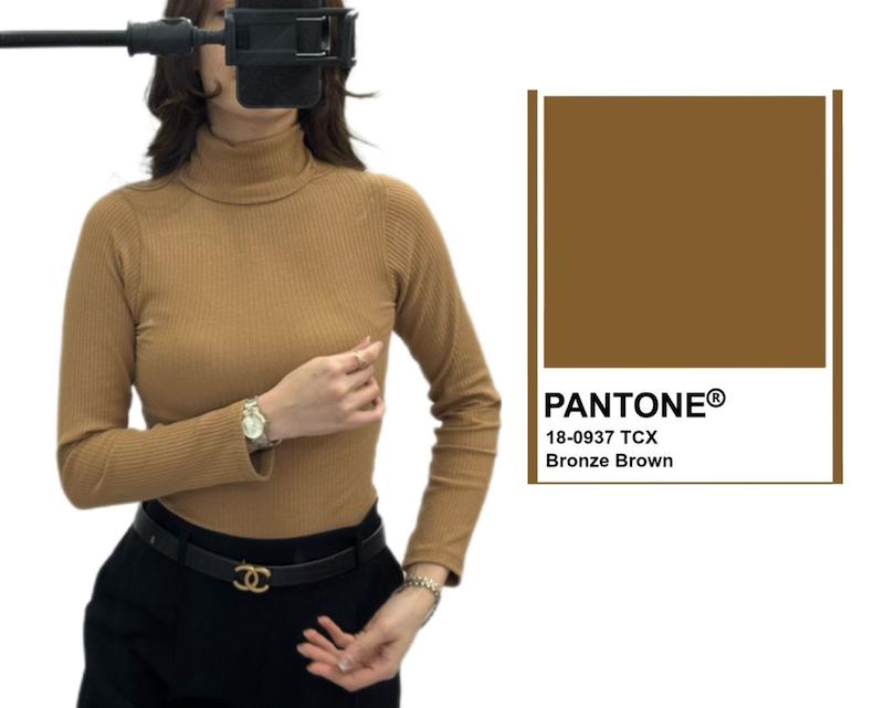 یقه اسکی میله  ای