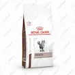 غذای خشک رژیمی گربه رویال کنین هپاتیک Royal Canin Hepatic