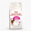 غذای خشک گربه بدغذا رویال کنین آروما اگزیجنت Royal Canin Aroma Exigent