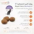 غذای خشک گربه عقیم‌شده رویال کنین استریلایزد 37 Royal Canin Sterilised 37