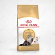 غذای خشک گربه پرشین رویال کنین Persian Adult Royal Canin