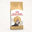 غذای خشک گربه پرشین رویال کنین Persian Adult Royal Canin