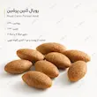 غذای خشک گربه پرشین رویال کنین Persian Adult Royal Canin
