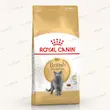 غذای خشک گربه بریتیش شورت‌هیر رویال کنین British Shorthair Adult