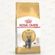 غذای خشک گربه بریتیش شورت‌هیر رویال کنین British Shorthair Adult